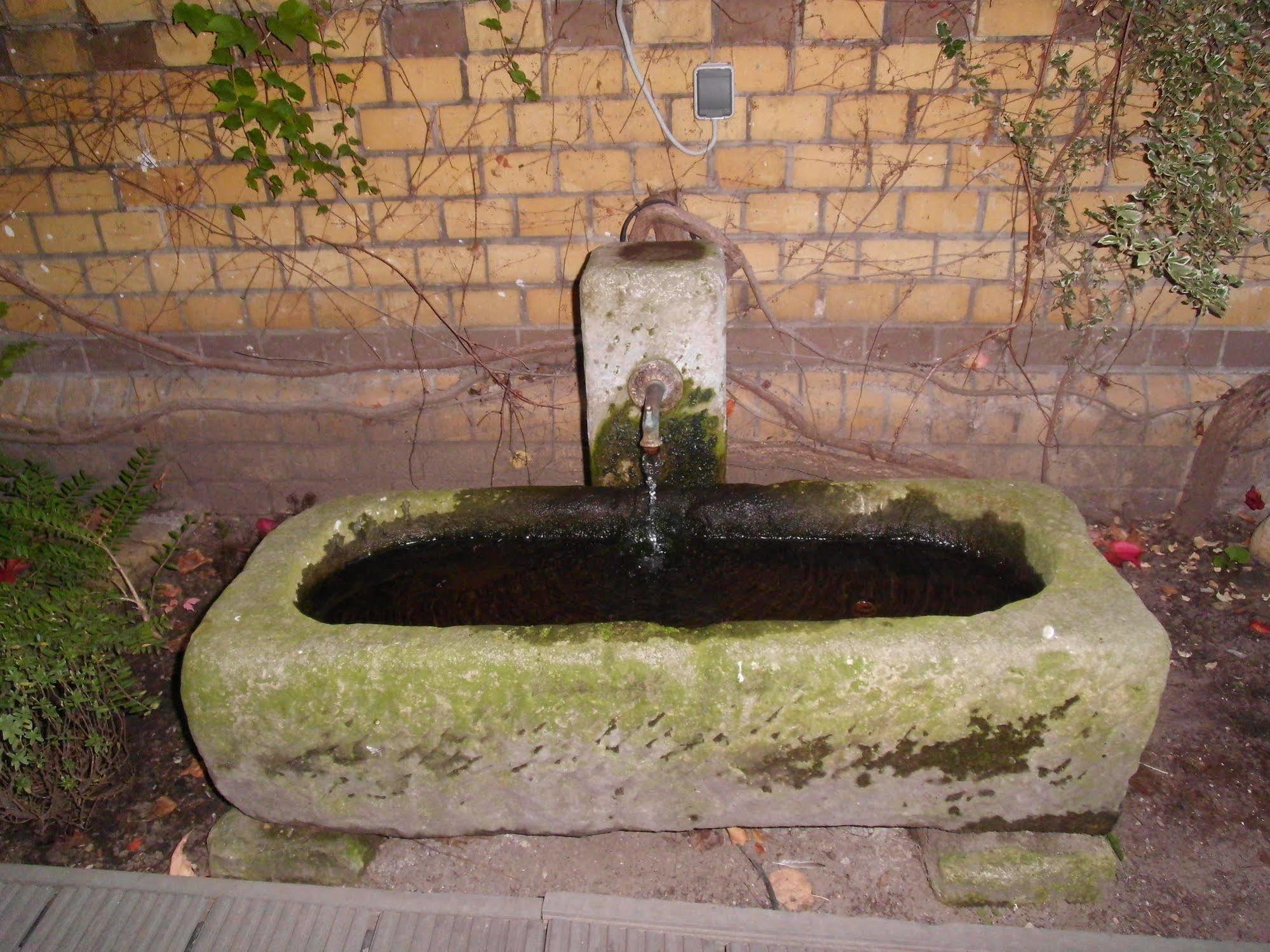 Wittenberg Ringhotel Schwarzer Baer מראה חיצוני תמונה